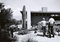 Saguaro National Park
