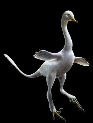 Duck Dinosaur