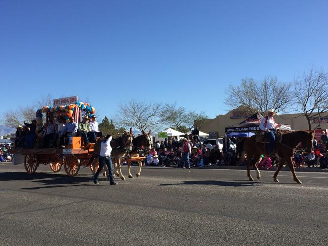 Photos Tucson Rodeo Parade entries