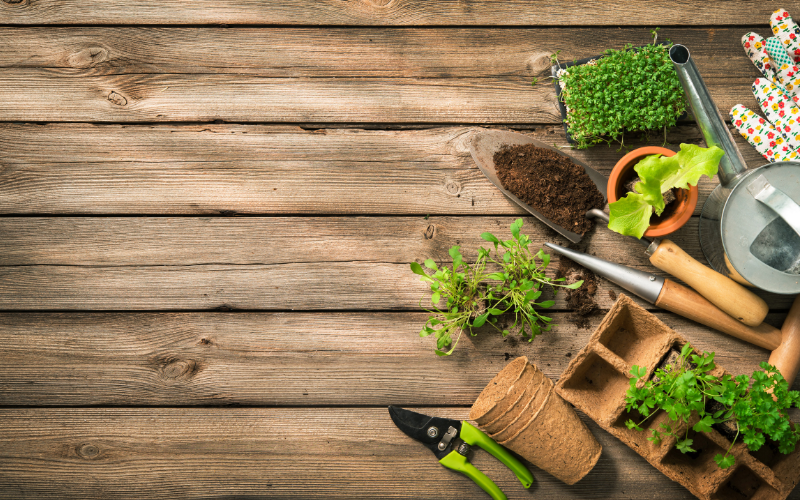 Top 10 Garden Tools for Tough Gardening Problems