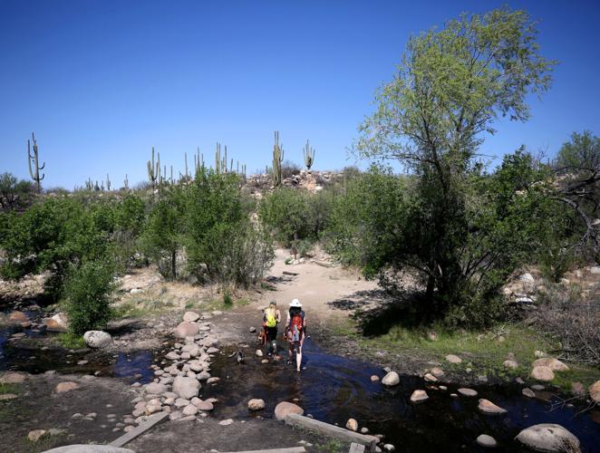 Catalina State Park