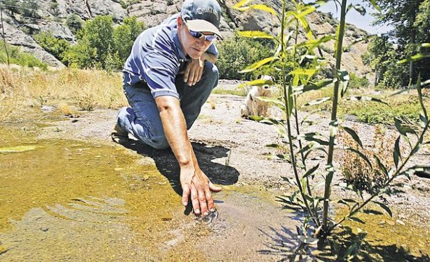 Cobra Ranch: An environmental godsend  