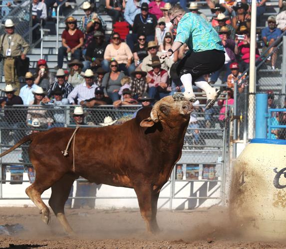 2016 Tucson Rodeo