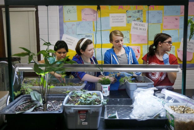 Old Vail Middle School