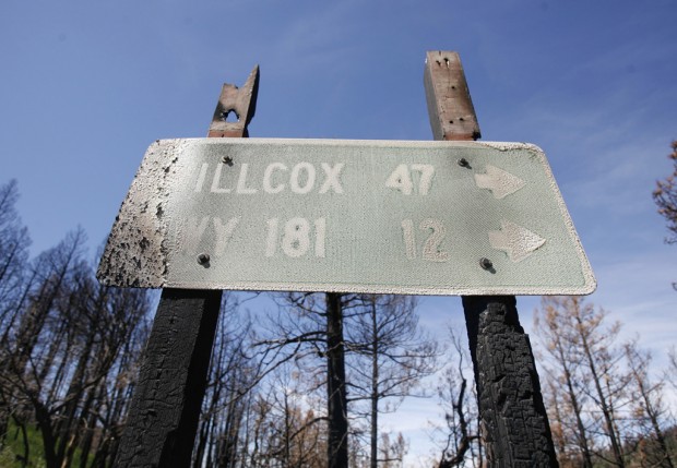 Life, as always, rebounds, though death is all around   