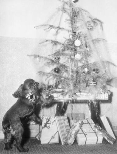 Images of Christmases past