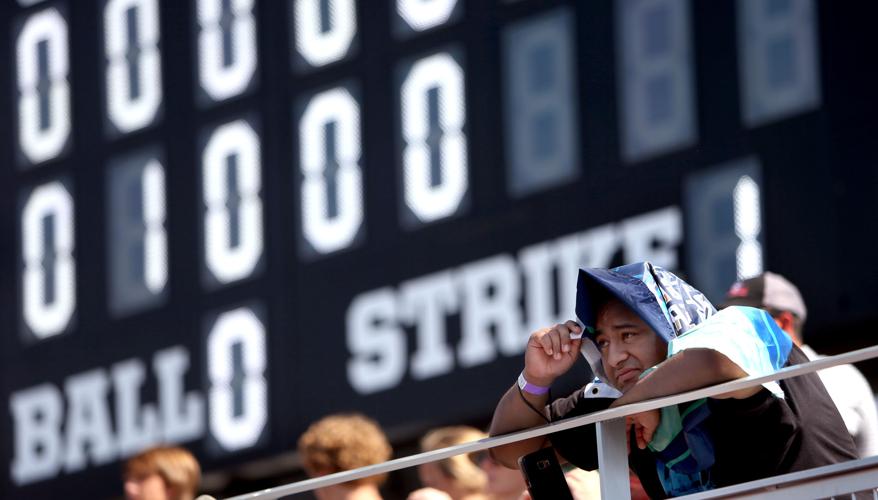 Arizona Wildcats at the College World Series