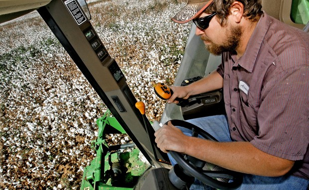 Cotton is currently fabric of their lives   