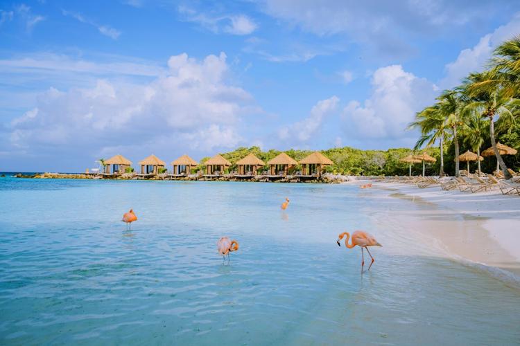 Flamingo Beach, Aruba
