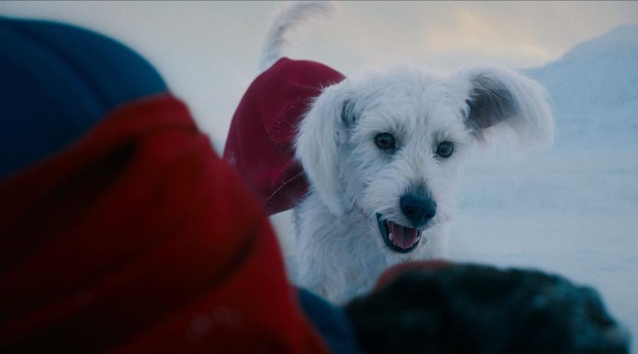 The computer-generated Krypto appears in both "Superman" and "Supergirl."