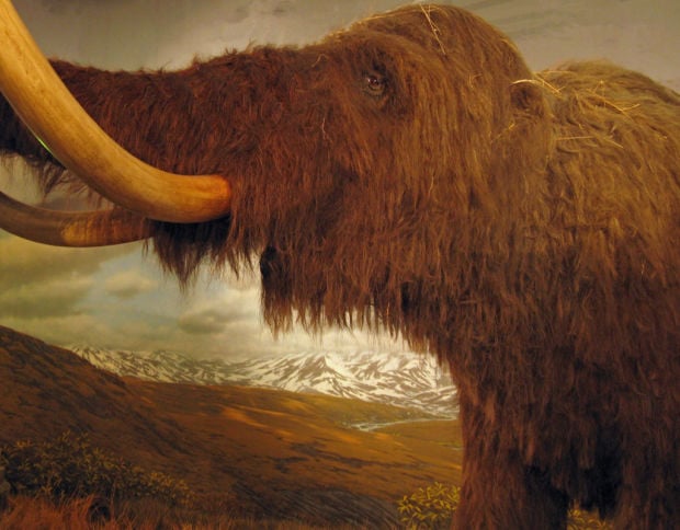 Ring's reflections: This was another place in 9000 BC    