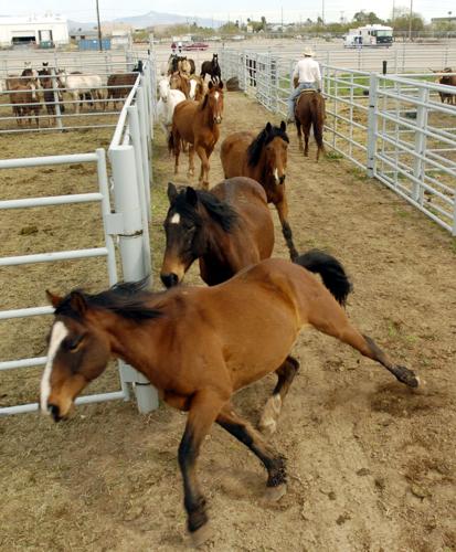 Beutler and Son Rodeo Company