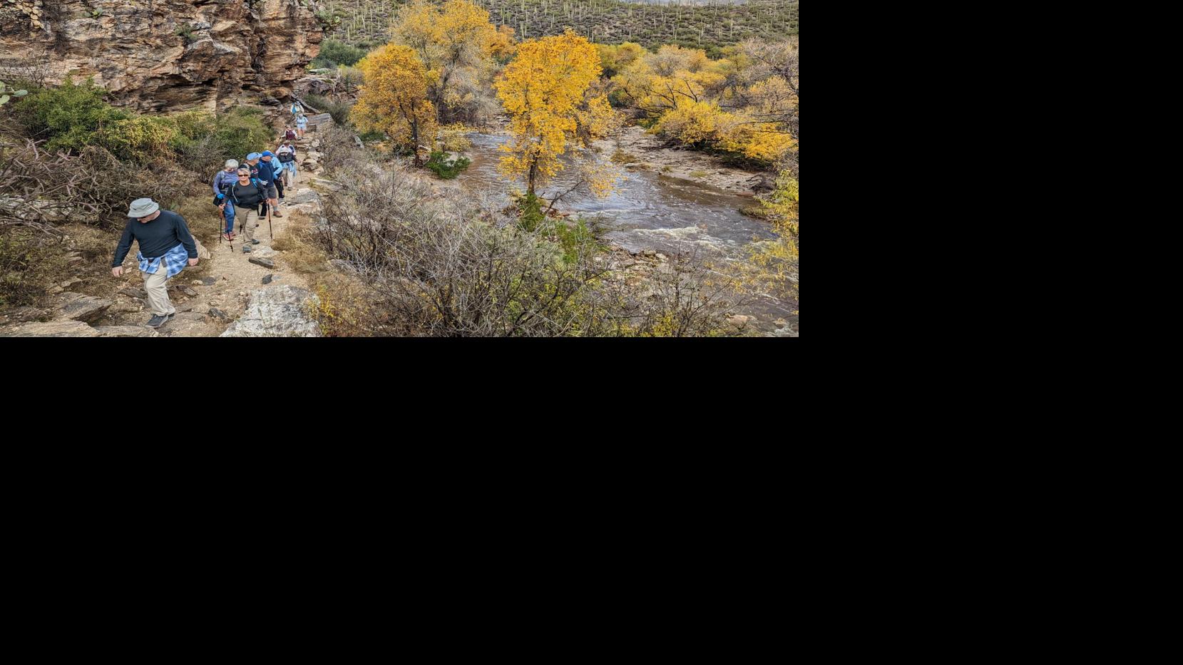 Sabino Canyon in the Fall Clubs