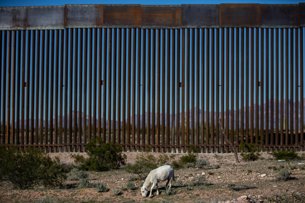 Border wall near Lukeville