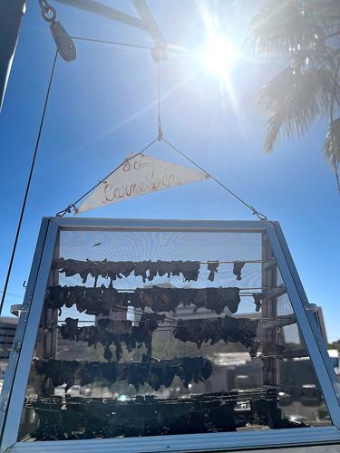 Carne seca, El Charro (LE)