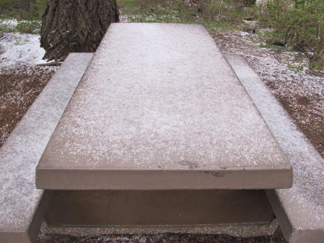 Snow on Mount Lemmon