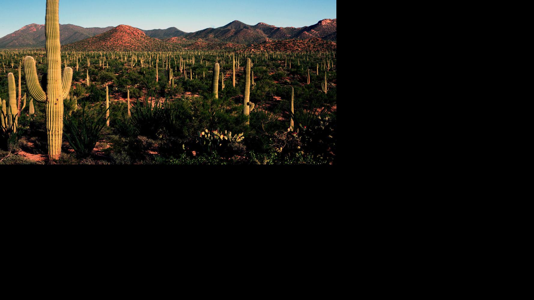 State and National parks in Arizona