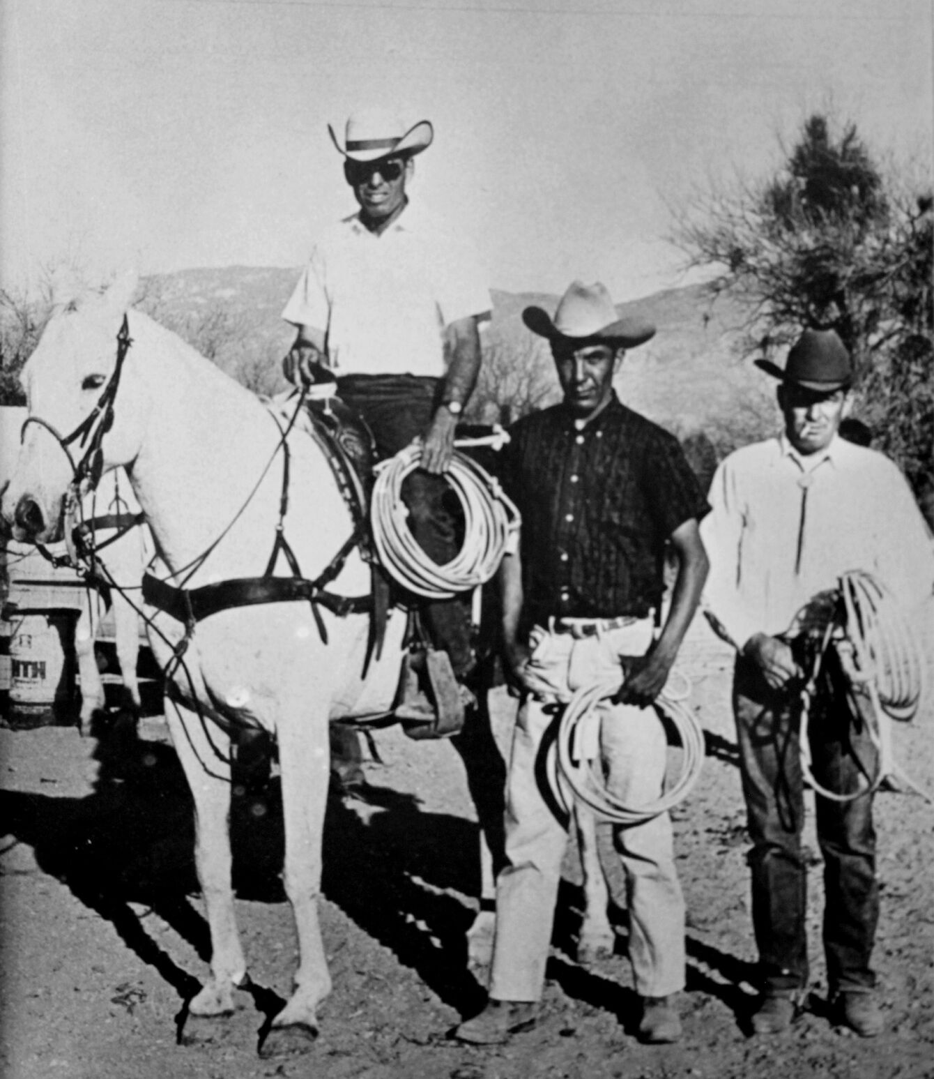 Dick Jones Rearing Paint Horse Cowboy Movie PHOTO From Glass Negative 