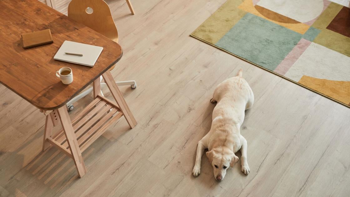 Rosie on the House: Find wood flooring for your budget and lifestyle | Home + Life + Health