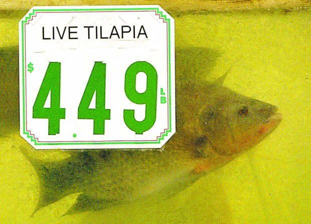 Take a food trek to Lee Lee