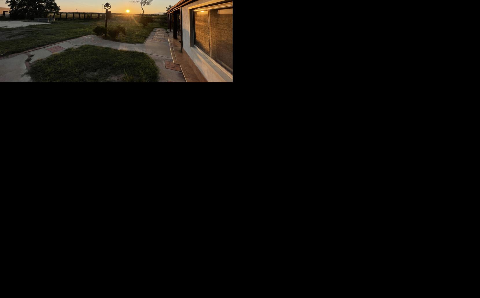 Singing Wind Bookshop (LE4)