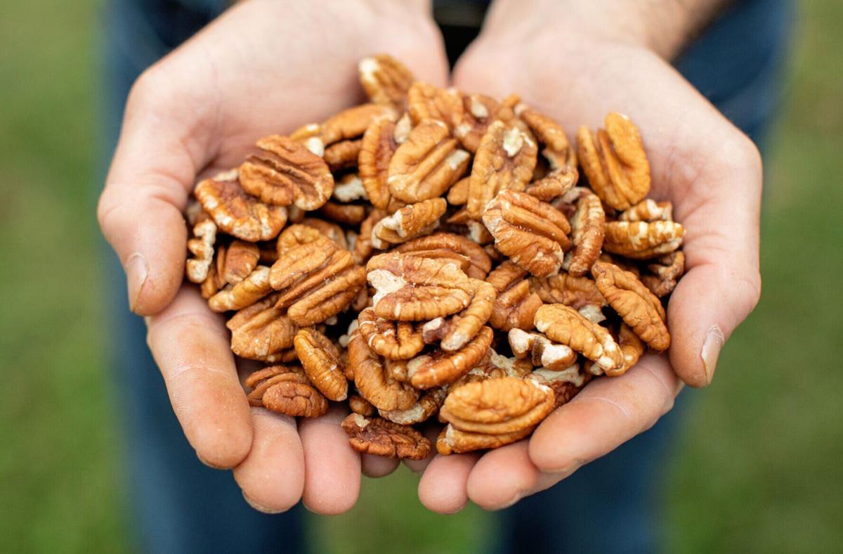 Issue No. 39: Pecans in Tulsa, Oklahoma