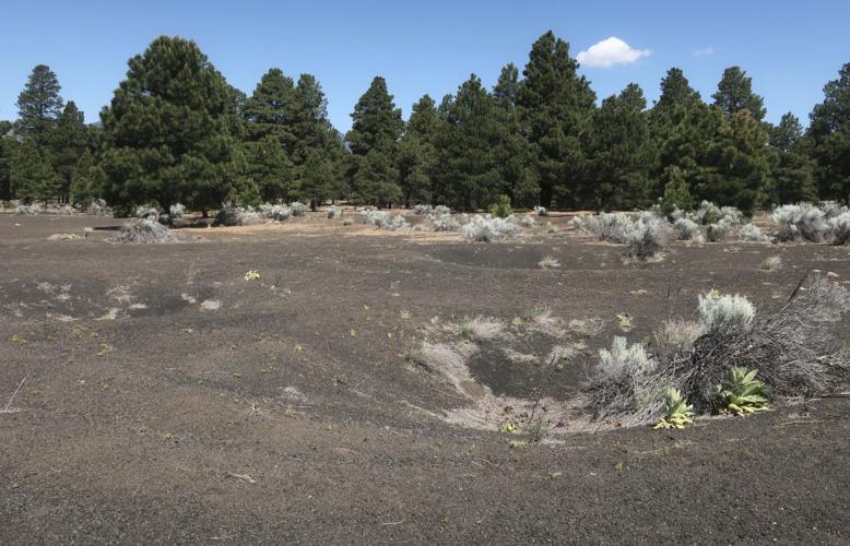 Moon Landing Training Ground