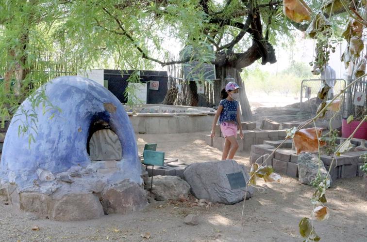 Davis Elementary School Garden