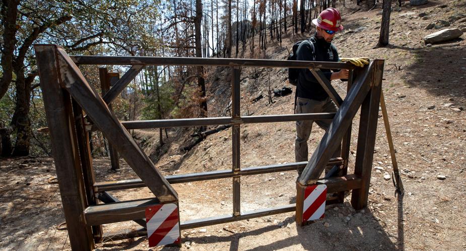 Green Mountain Trail, Bighorn Fire