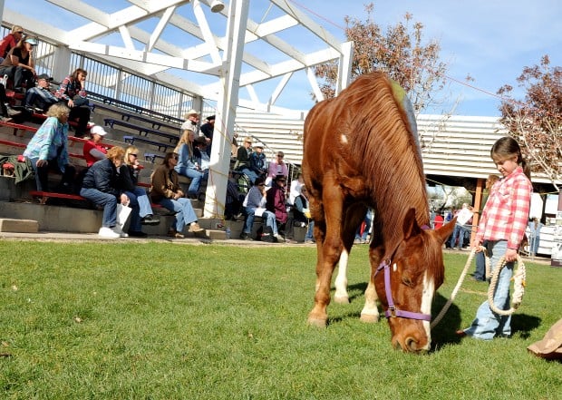 Expo aims to bring horse lovers together   
