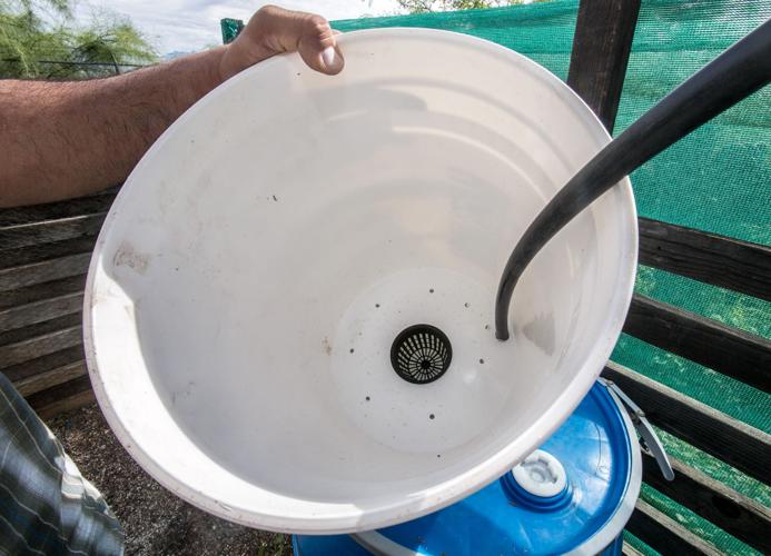 Food Bank Garden items