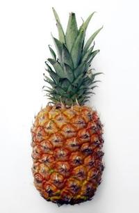Protecting pineapple