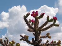 07 VAM outside the bird watching path