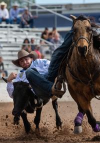 Photos: Day Five of the 95th annual Fiesta de los Vaqueros Tucson Rodeo