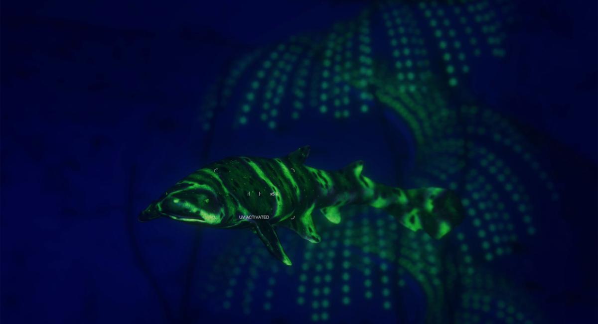 Screen shot from Underwater Adventure Game "Beyond Blue."