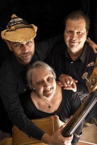 Users guide to the 2018 Tucson Folk Festival