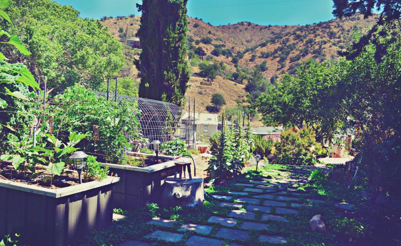 Collins garden