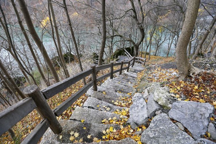 SAXoPicture-000000000308A528-411011929