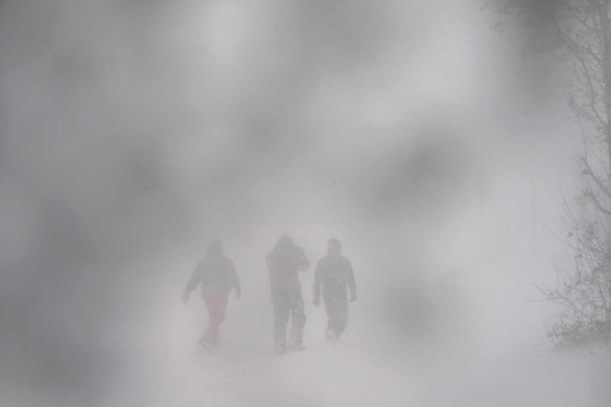 Buffalo Blizzard