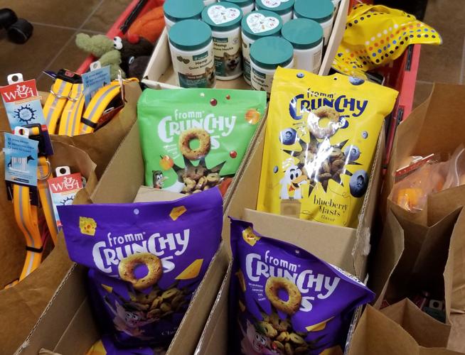 Ice Cream Social and Yappy Hour