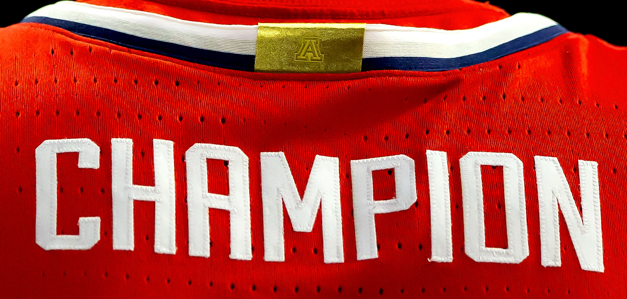 Arizona Men's Basketball's Red-Blue Game (copy)