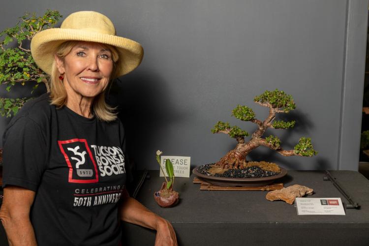 What Do You Know of Bonsai? Homeandgarden