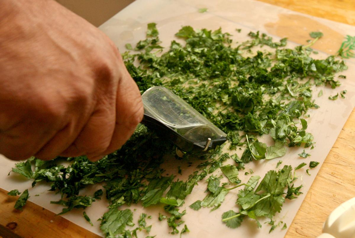 Cilantro