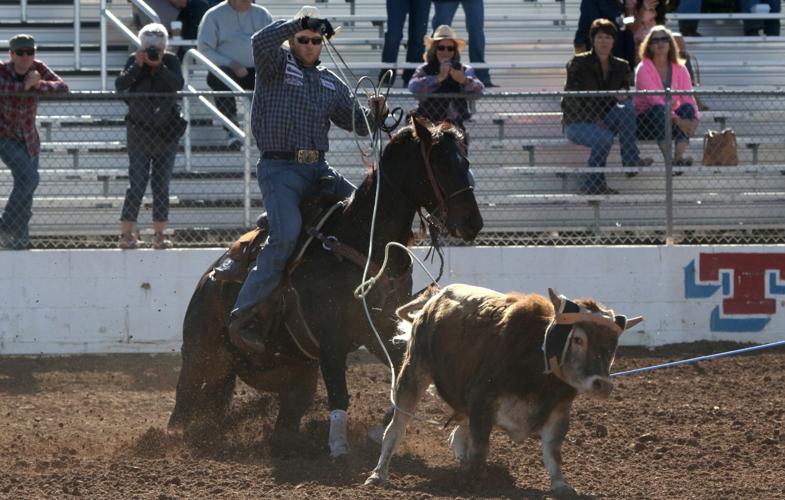 Tucson Rodeo action