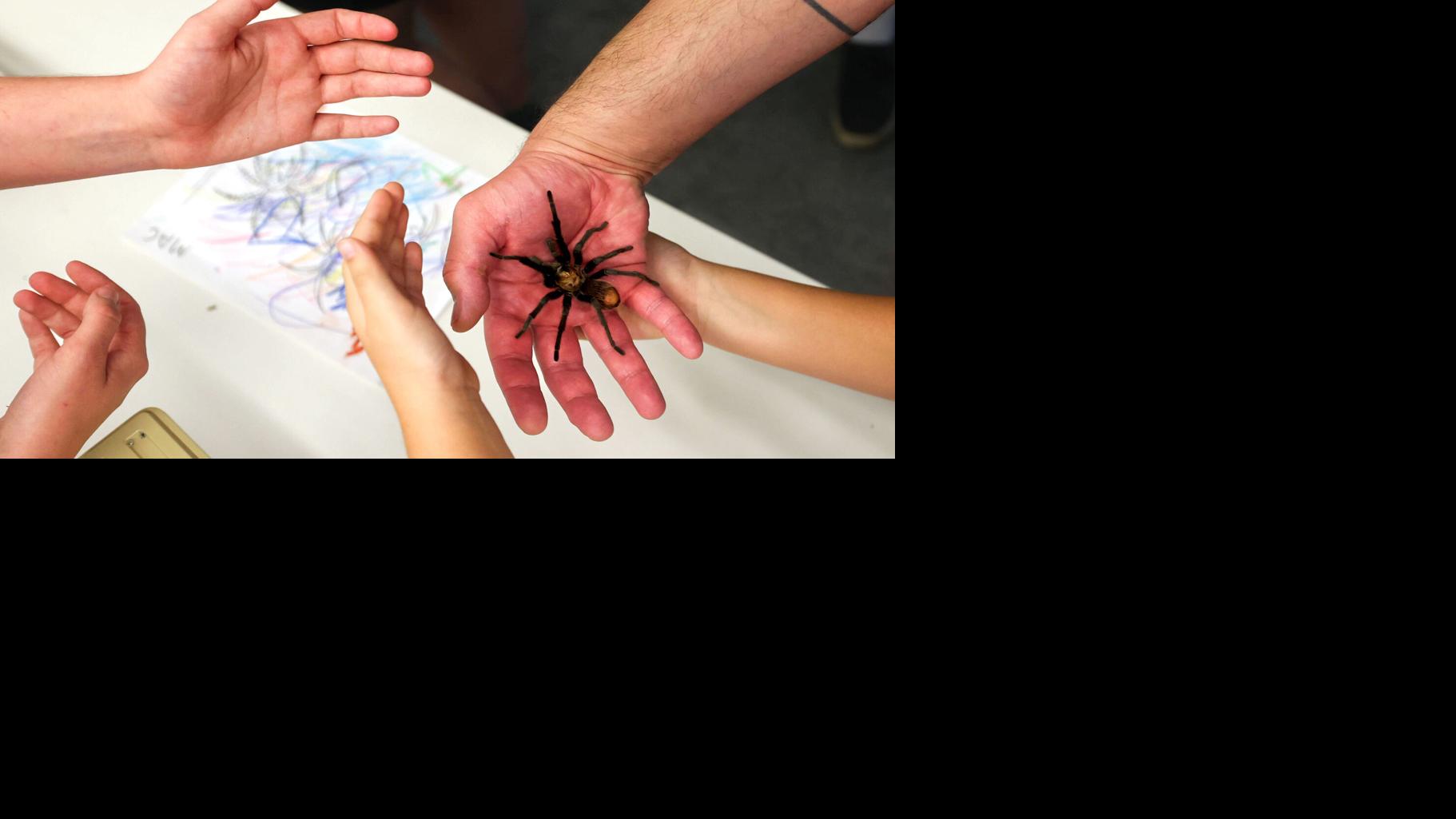U of A's Entomology Department is great place to work, bugs and all
