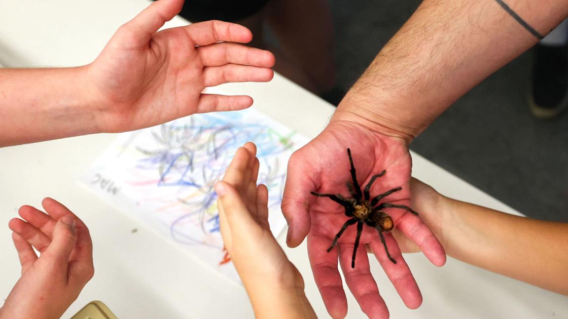 U of A's Entomology Department is great place to work, bugs and all