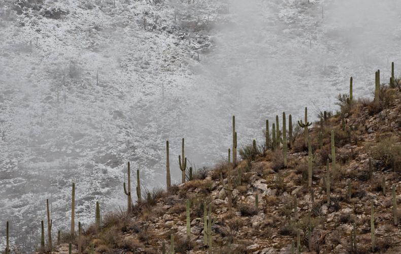 Snow in Tucson