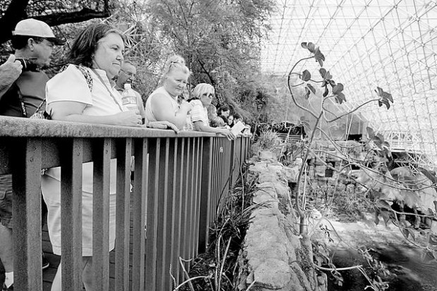 UA sees new era for Biosphere 2  