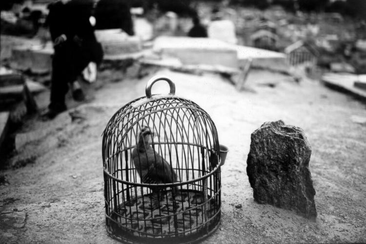 Afghanistan In A New Light