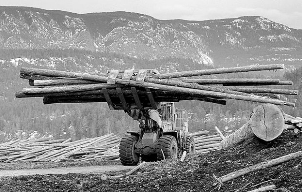 Canadian lumber firms seek $450M from U.S.  